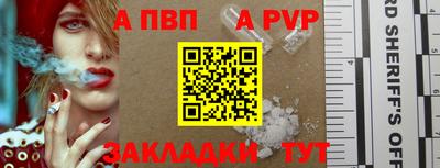 дмт Аргун