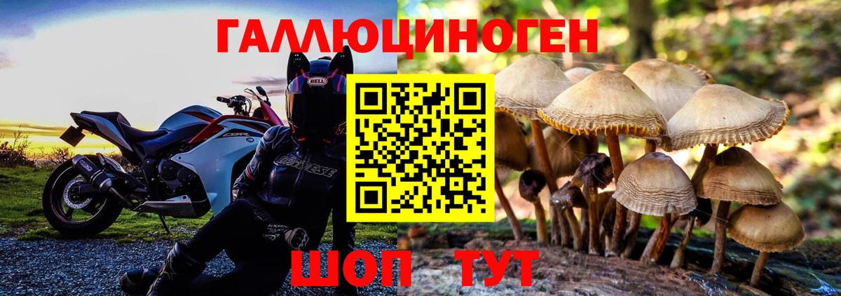 Псилоцибиновые грибы мухоморы Аша